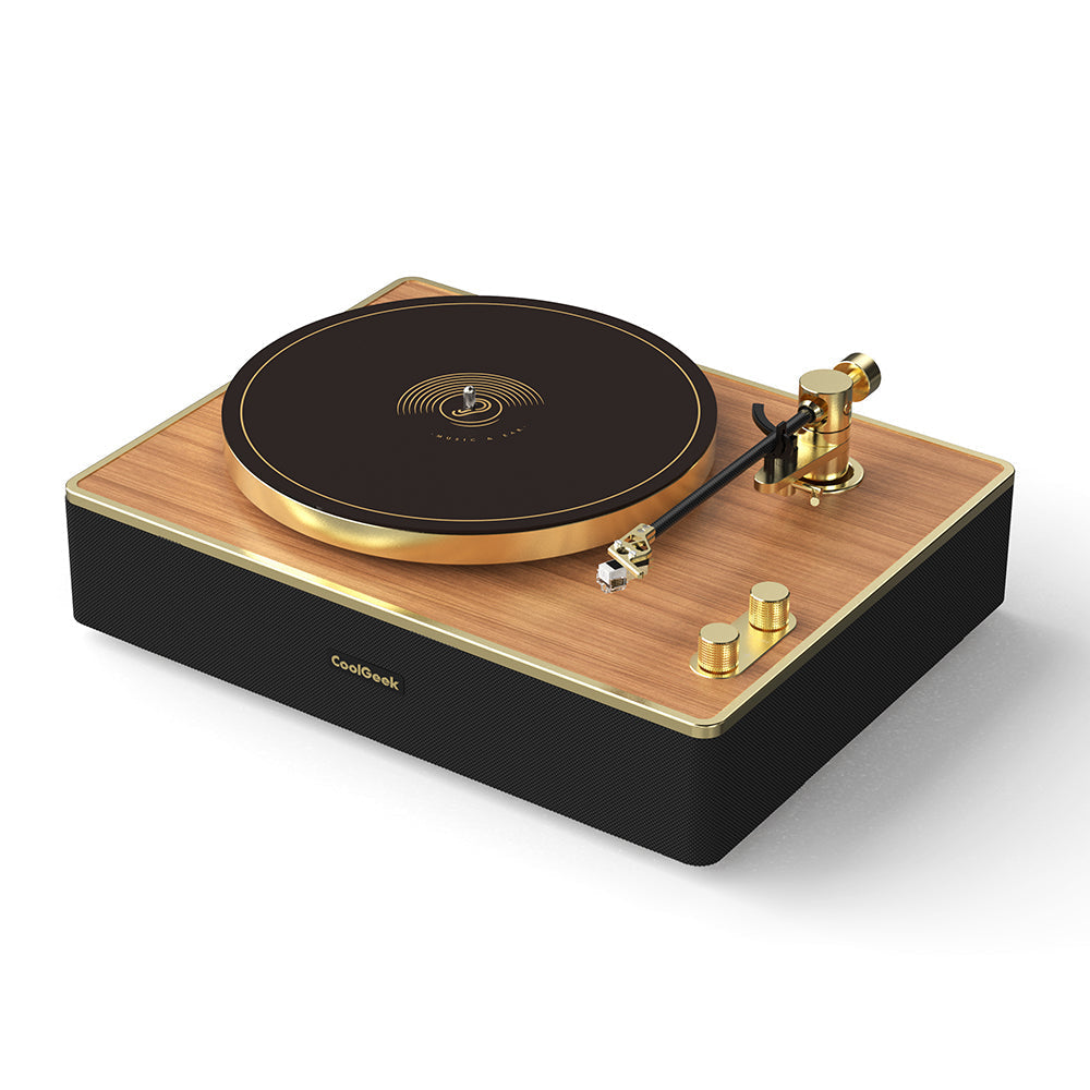 CS-01 High-End Turntable